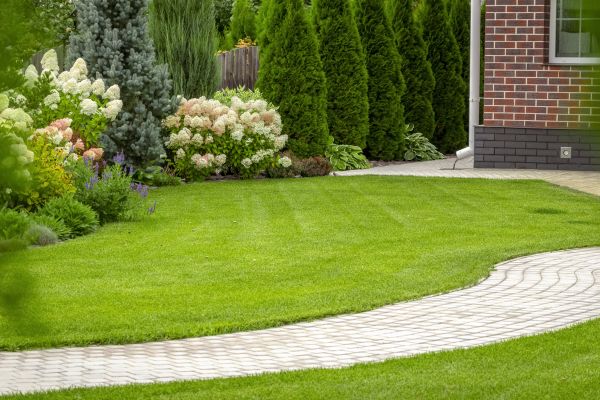 Landscape Walkway Installation in North Charleston